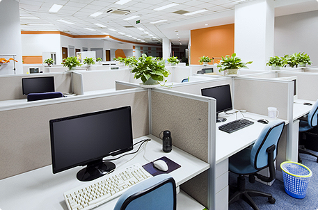 company-pic